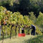 Tenuta Terraviva