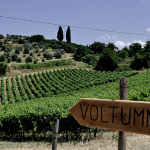 Voltumna