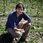 Fattoria Sardi