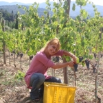 Fattoria la Striscia