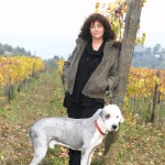 Terre a Mano – Fattoria di Bacchereto
