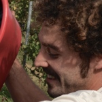 La Ginestra