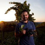 Fattoria Calcabrina