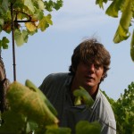 Tenuta Grillo