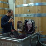 Tenuta Dalle Ore