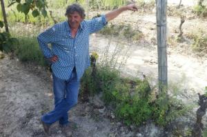 [cml_media_alt id='736']EZIO-IN-VIGNA[/cml_media_alt]