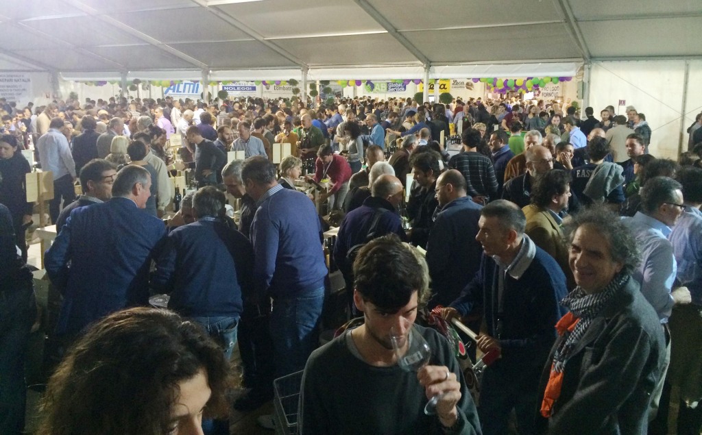 [cml_media_alt id='629']IMG_2165cut[/cml_media_alt]