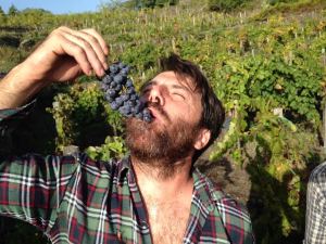 [cml_media_alt id='638']davideinvigna[/cml_media_alt]