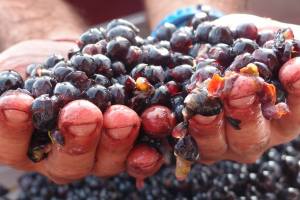 [cml_media_alt id='620']foto777[/cml_media_alt]