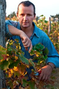 [cml_media_alt id='1104']vasja5[/cml_media_alt]