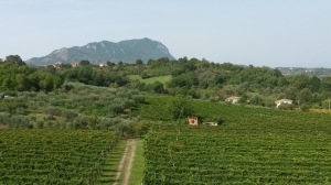 [cml_media_alt id='1427']20140921_110330[/cml_media_alt]