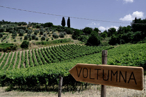 [cml_media_alt id='1421']DSC_0095[/cml_media_alt]