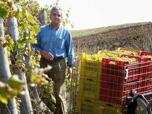 [cml_media_alt id='1263']Pierluigi[/cml_media_alt]