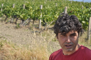 [cml_media_alt id='1615']Fra-in-vigna-estate[/cml_media_alt]