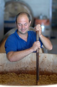 [cml_media_alt id='1657']Vitovska-0209-035[/cml_media_alt]