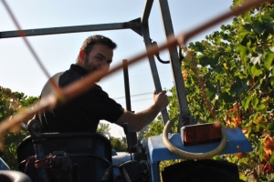 [cml_media_alt id='2061']foto-22[/cml_media_alt]