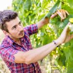 Tenuta Thomas Niedermayr