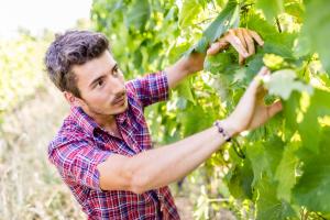 [cml_media_alt id='2075']tv-eppan-WEB-4_t2[/cml_media_alt]