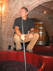 [cml_media_alt id='1948']vinificaz[/cml_media_alt]