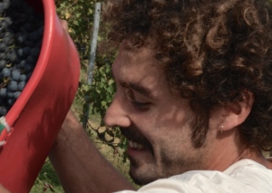 [cml_media_alt id='2590']Dario-in-vendemmia-14-2[/cml_media_alt]
