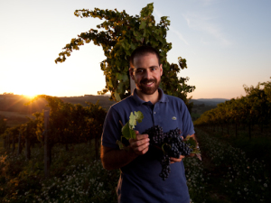 [cml_media_alt id='3014']IMG_6517[/cml_media_alt]