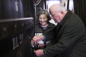 [cml_media_alt id='2773']giglioli[/cml_media_alt]