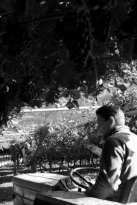 [cml_media_alt id='2767']paolo-low-BN[/cml_media_alt]