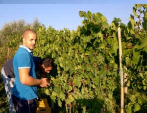 [cml_media_alt id='4998']IMG-20151214-WA0001[/cml_media_alt]