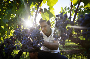 [cml_media_alt id='5125']DSC9281[/cml_media_alt]