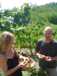 [cml_media_alt id='6068']DSC00601[/cml_media_alt]