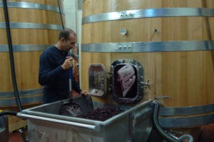 [cml_media_alt id='6225']DSC_1679[/cml_media_alt]