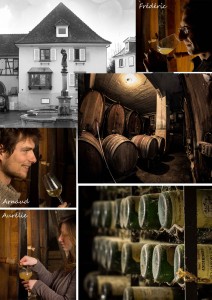 [cml_media_alt id='6057']Domaine-Frédéric-GESCHICKT-1[/cml_media_alt]