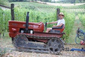 [cml_media_alt id='6059']Il-Maiolo[/cml_media_alt]