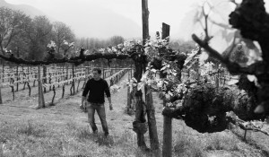 [cml_media_alt id='5663']Luigi[/cml_media_alt]