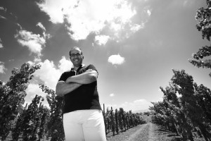 [cml_media_alt id='5334']daino_01[/cml_media_alt]