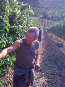 [cml_media_alt id='5361']palo-vendemmia[/cml_media_alt]