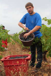 [cml_media_alt id='6231']vendanges58[/cml_media_alt]