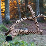 ARTE SELLA – The Contemporary Mountain