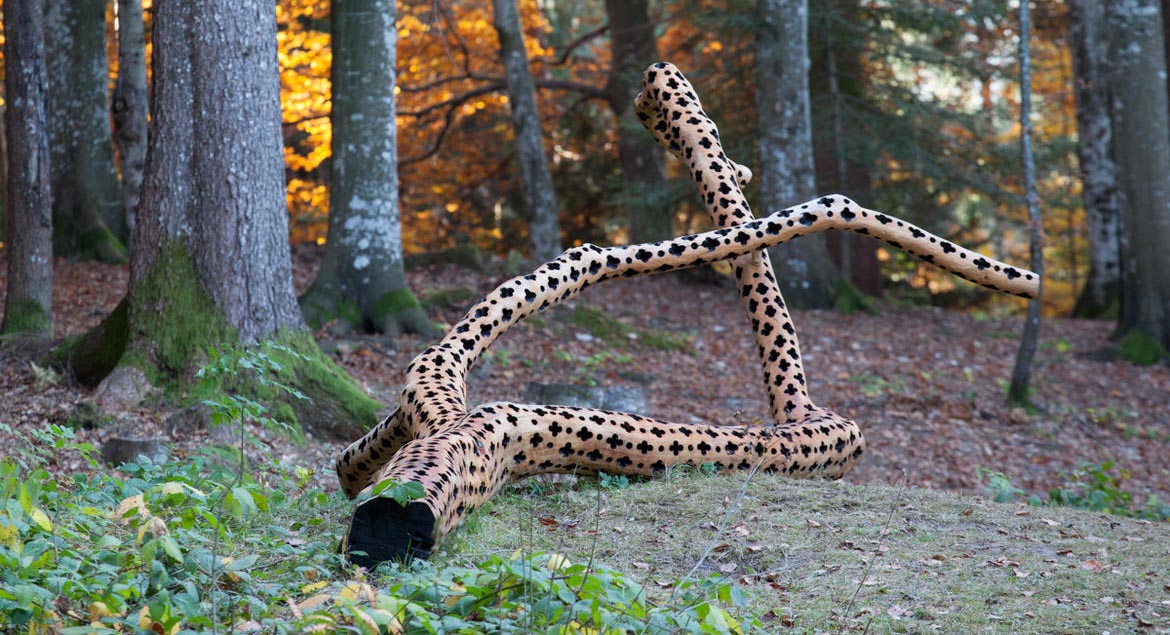 [cml_media_alt id='7856']Arte-Sella-Stuart-Ian-Frost-A-fior-di-pelle_CUT[/cml_media_alt]