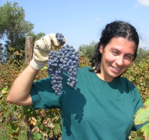 [cml_media_alt id='7947']DSCN2280-2-1[/cml_media_alt]