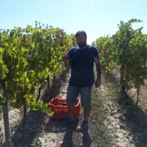 [cml_media_alt id='7758']FB_IMG_1483633938232[/cml_media_alt]