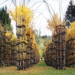 ARTE SELLA – The Contemporary Mountain