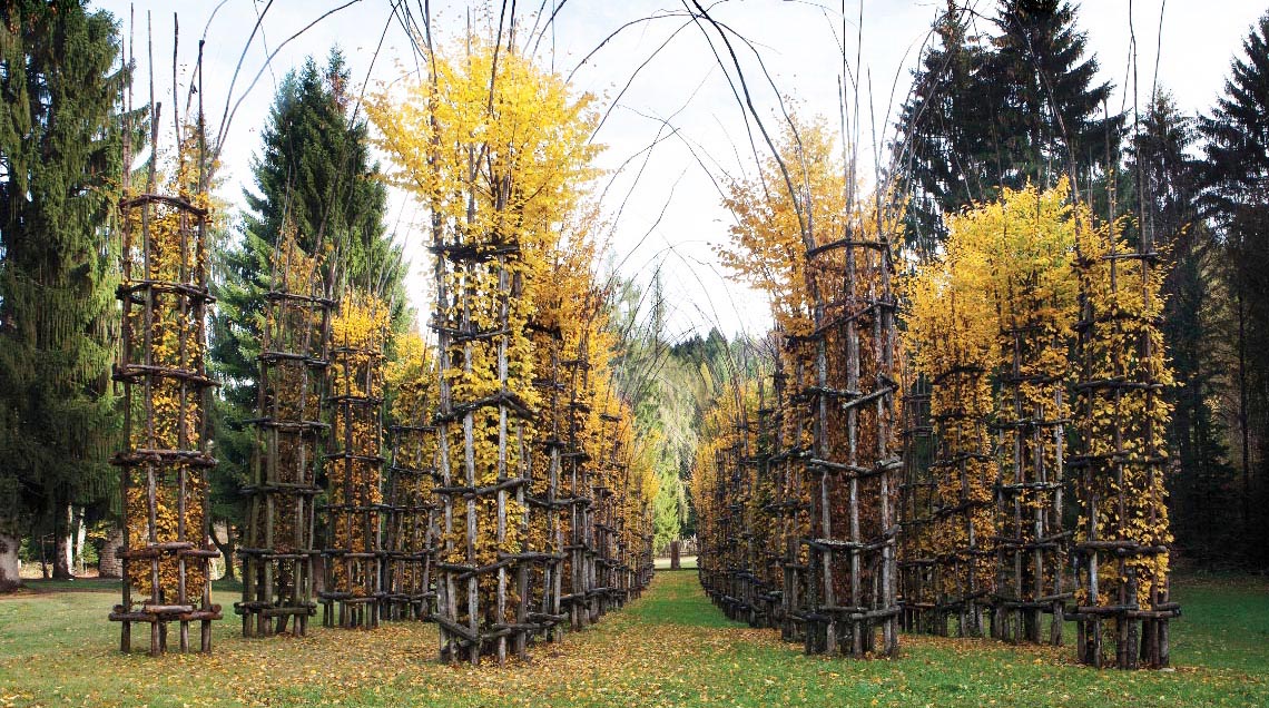 [cml_media_alt id='7873']Giuliano Mauri_Cattedrale vegetale_Copyright Arte Sella ph Giacomo Bianchi CUT[/cml_media_alt]