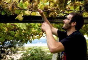 [cml_media_alt id='8069']IMG-20170123-WA0002[/cml_media_alt]