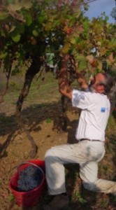 [cml_media_alt id='8093']image001[/cml_media_alt]