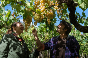 [cml_media_alt id='7672']immagine-1_bassa-risoluzione[/cml_media_alt]