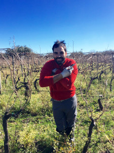 [cml_media_alt id='8059']immagine-edu[/cml_media_alt]