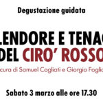 DEGUSTAZIONE CIRO’ ROSSO