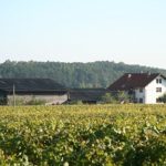 Weingut Doris und Matthias Hager