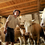 Fritz Salomon-Gut Oberstockstall